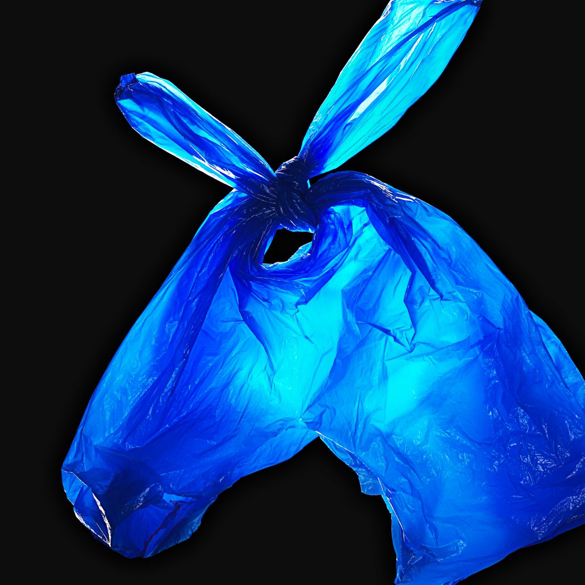 Donkey Bag. By Dennis Pedersen, Still Life Photographer, London